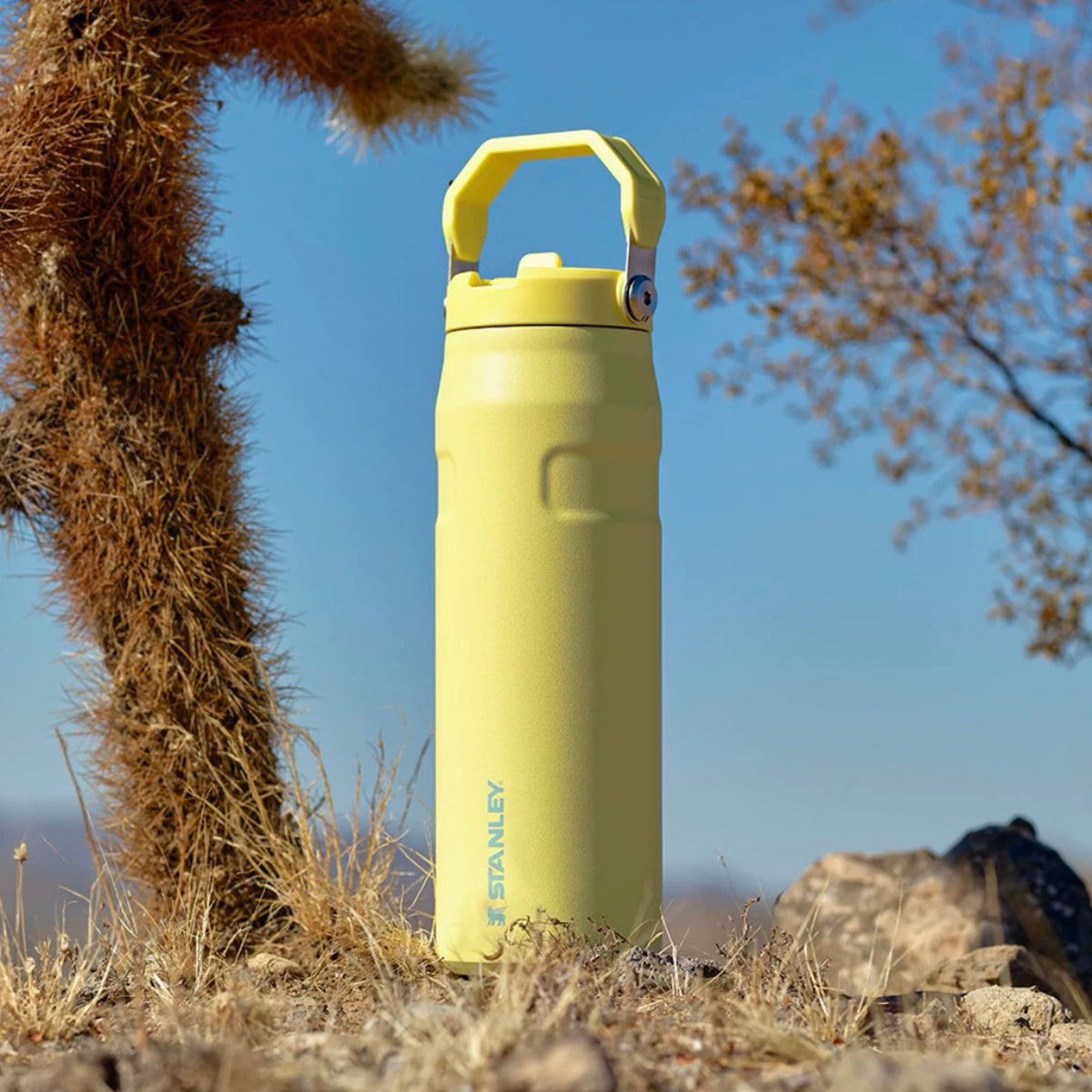 STANLEY large capacity sippy cup |473ml STANLEY 吸管杯