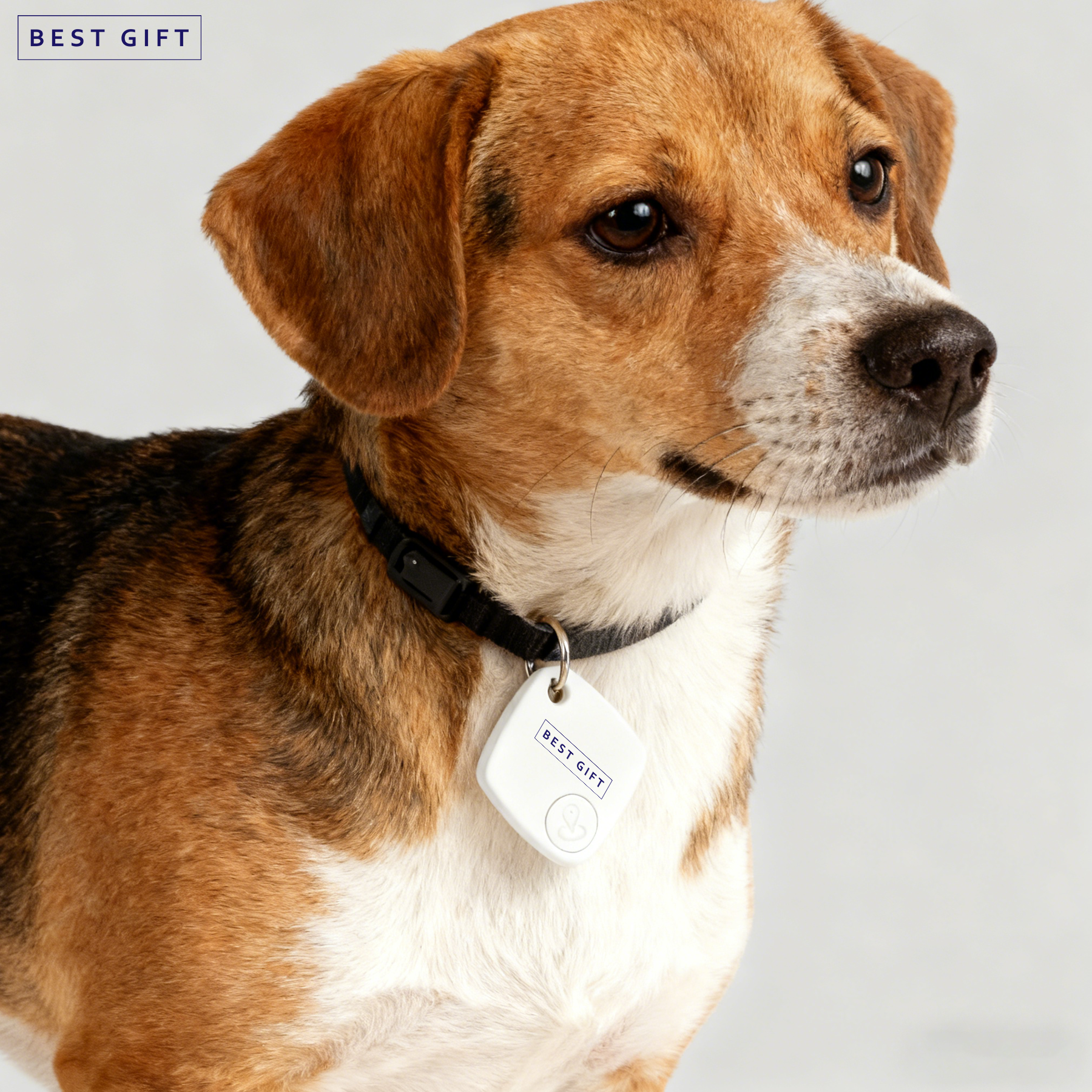 Real-time Tracker GPS Tracker For Pets Compatible With iPhone | 防走丟智能定位器 便携寵物追蹤器 iPhone專用