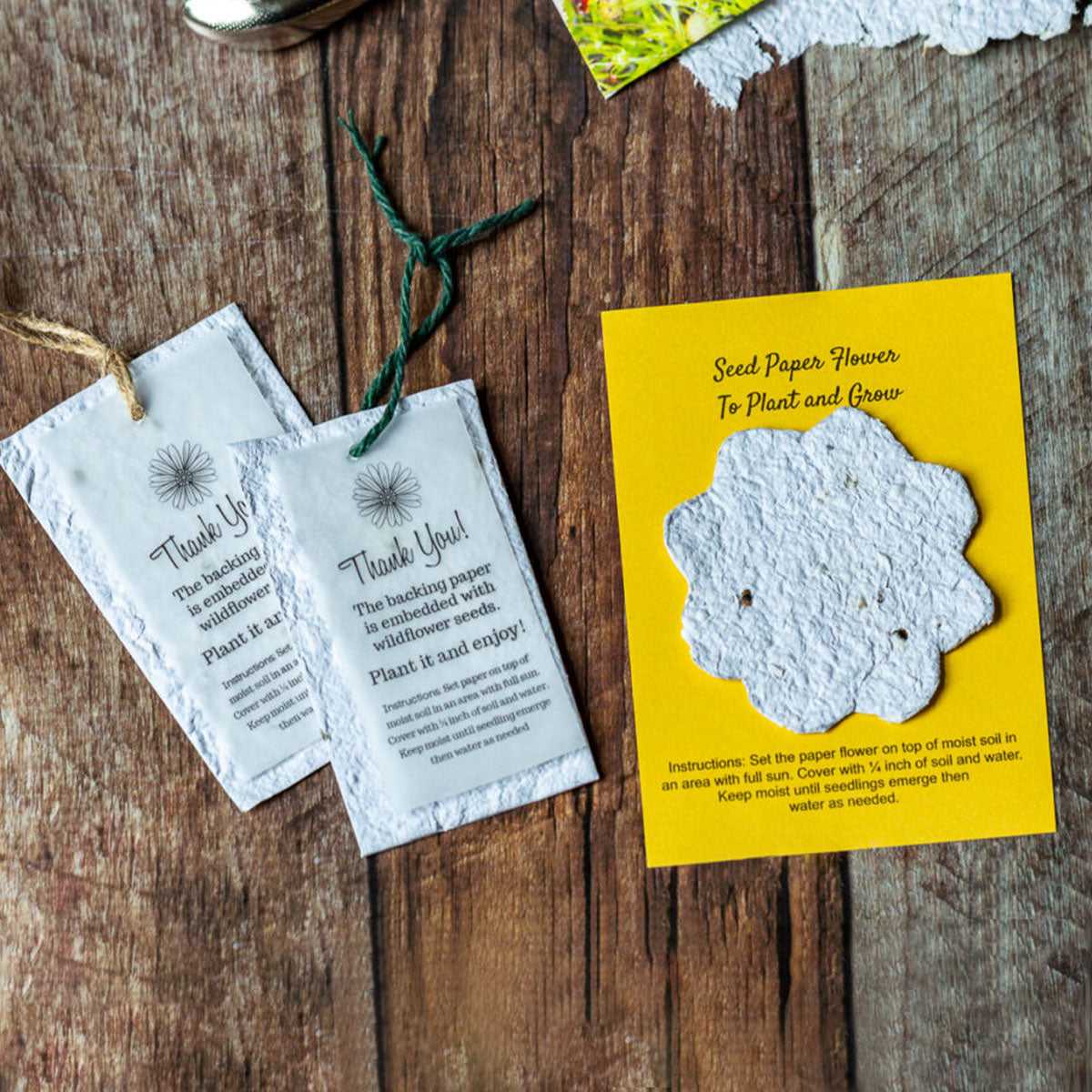Custom Printed Seed Paper | 種子卡 自訂環保種子紙造型企業產品吊牌 高級紀念禮物