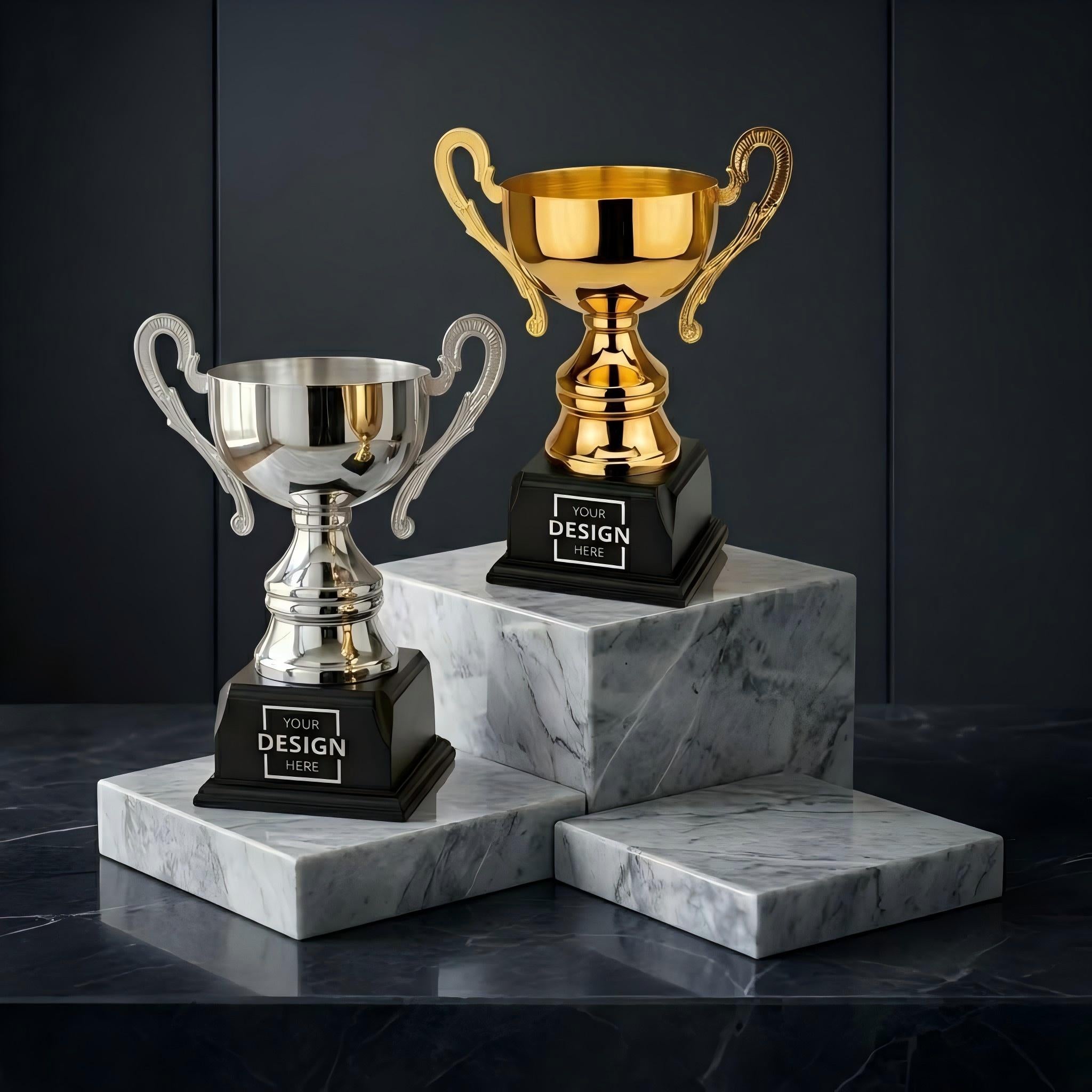 High Quality Customized Luxury Metal Trophy | 客製化奢華金屬獎盃 企業團隊個性化訂製 3種規格可選
