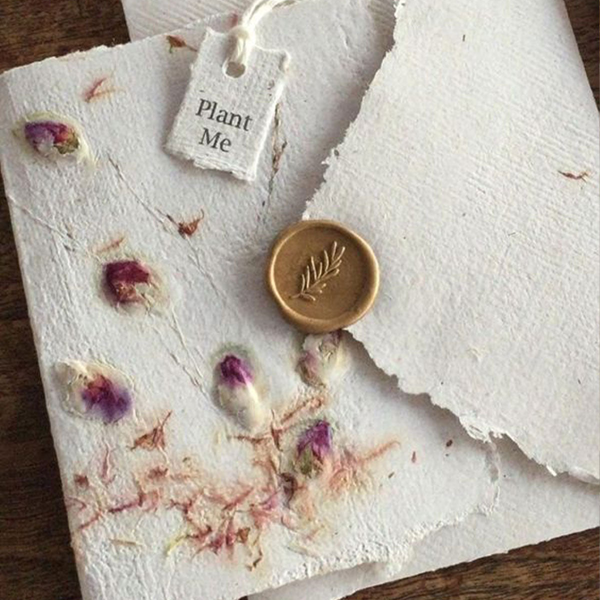 Custom Printed Seed Paper | 種子卡 自訂環保種子紙造型企業賀卡 卡片 高級紀念禮物