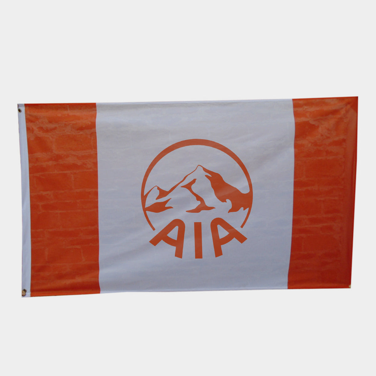 【團隊定製】100D滌綸隊旗+鋁合金旗桿 數碼印刷 支持LOGO