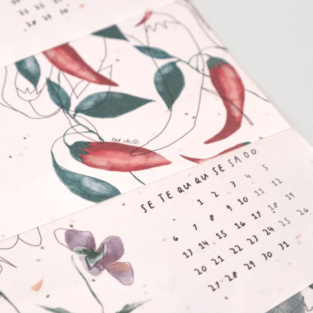 ESG|種子卡臺歷 桌上擺件 Business Gift New Hire Gift