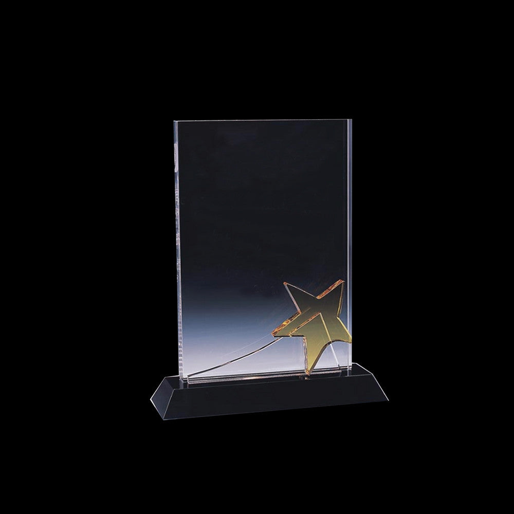 Crystal Award