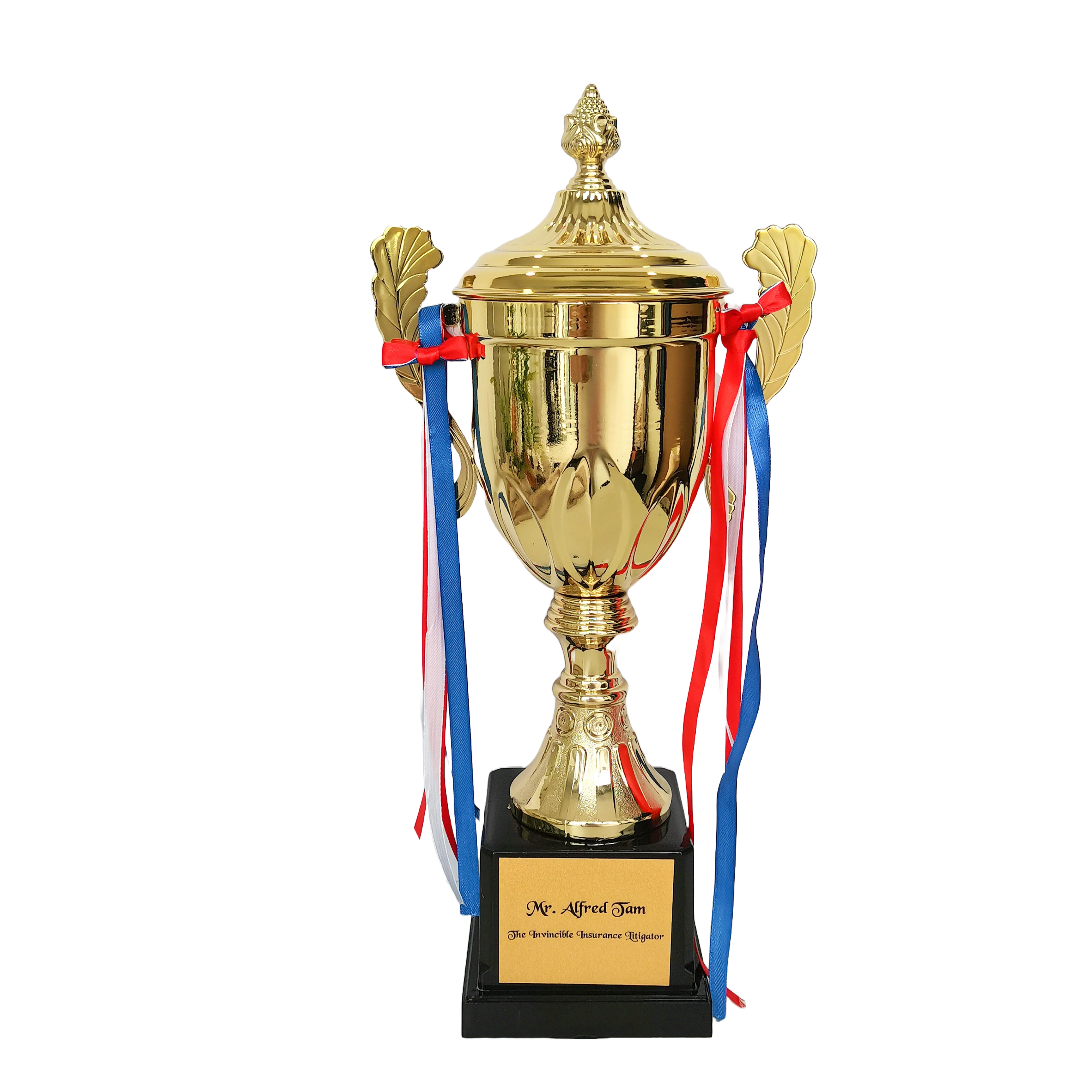 [Case Studies] THE TNVINCIBLE TNSURANCE LITIGATOR | Metal Trophy