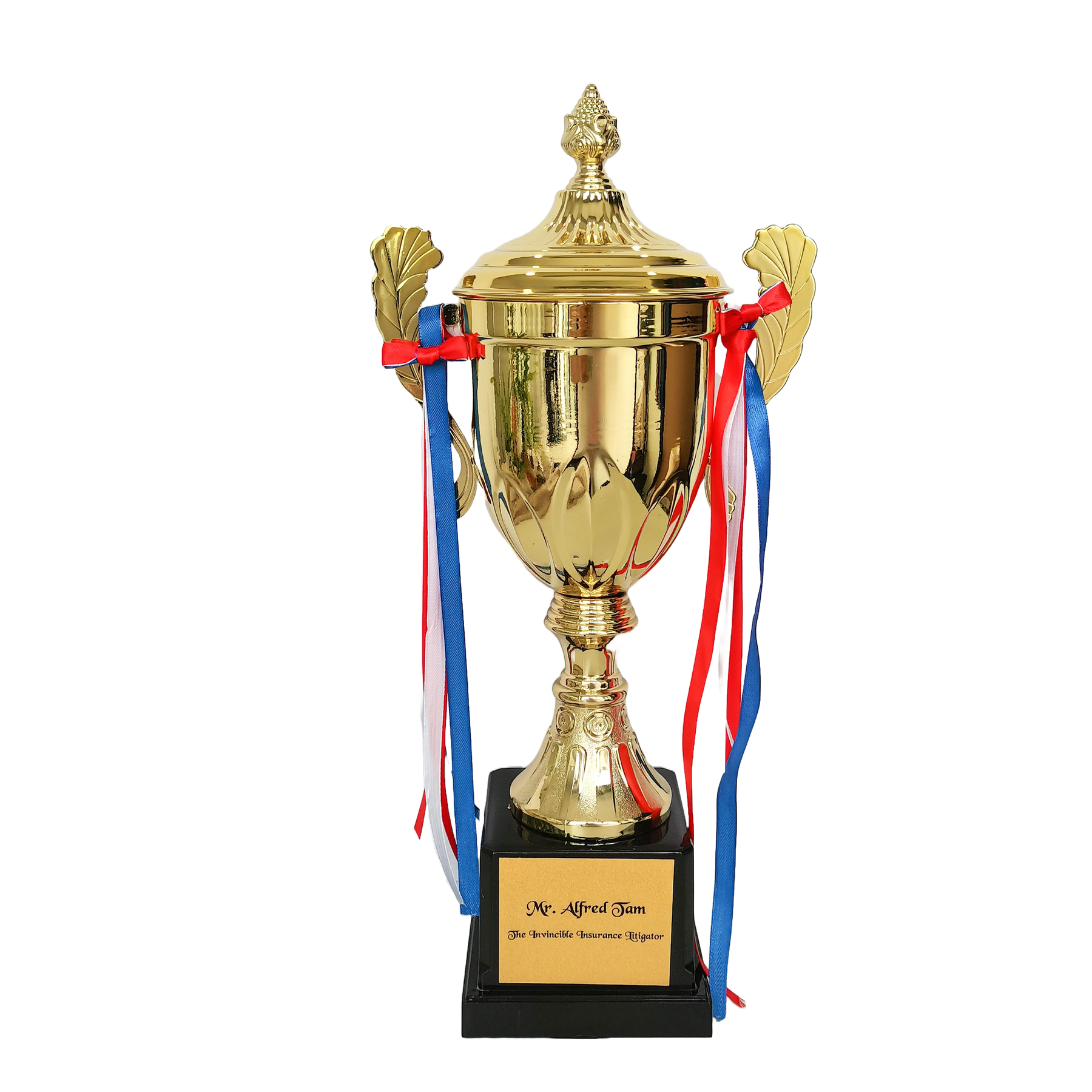 [Case Studies] THE TNVINCIBLE TNSURANCE LITIGATOR | Metal Trophy