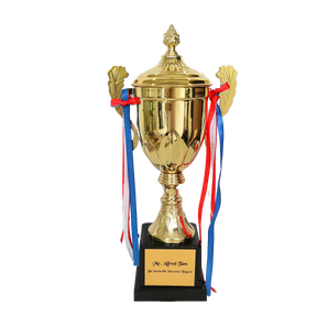 [Case Studies] THE TNVINCIBLE TNSURANCE LITIGATOR | Metal Trophy