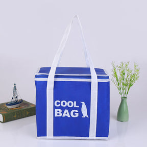 Fresh and Insulated Picnic Lunch Box Bag | 餐盒保溫保鮮野餐袋 BG34-119