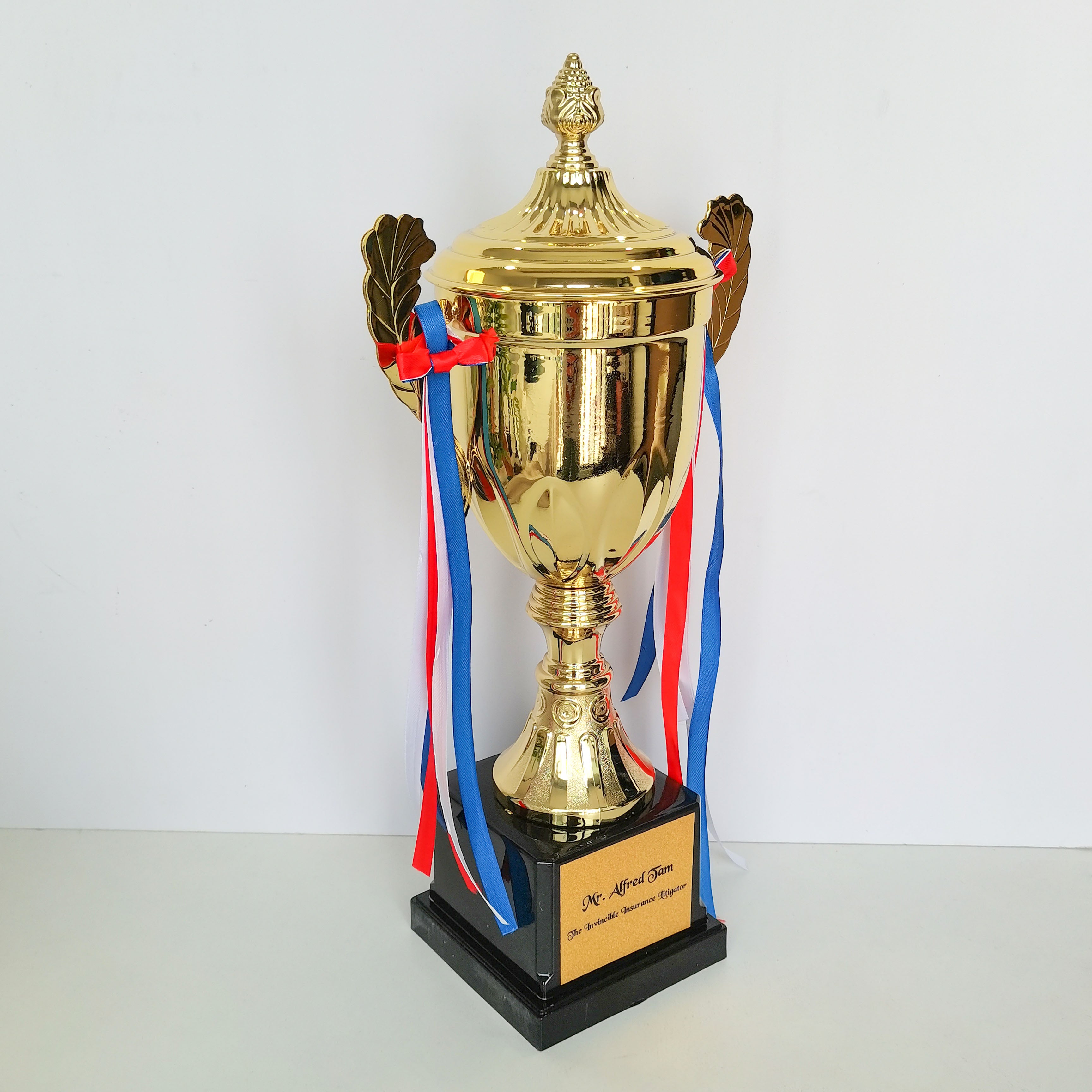 [Case Studies] THE TNVINCIBLE TNSURANCE LITIGATOR | Metal Trophy