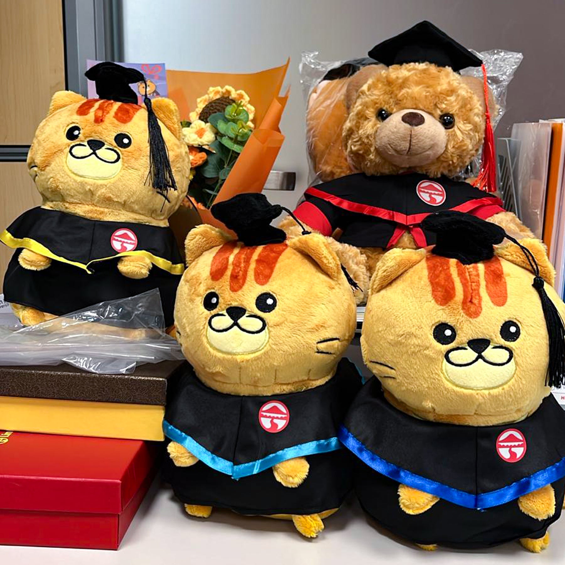 [Case Studies]Lingnan University |  Graduation Cat