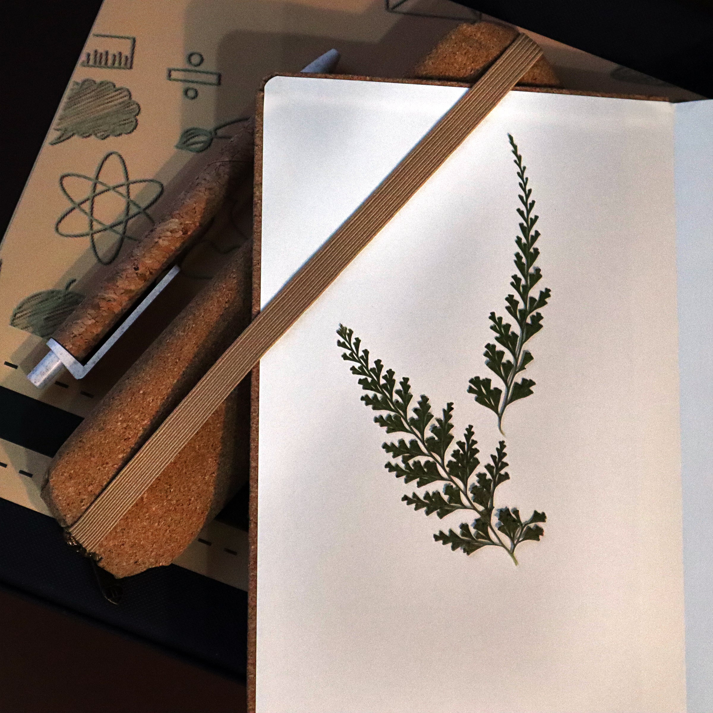 Eco-friendly Gift Set: A Sustainable and Stylish Gift