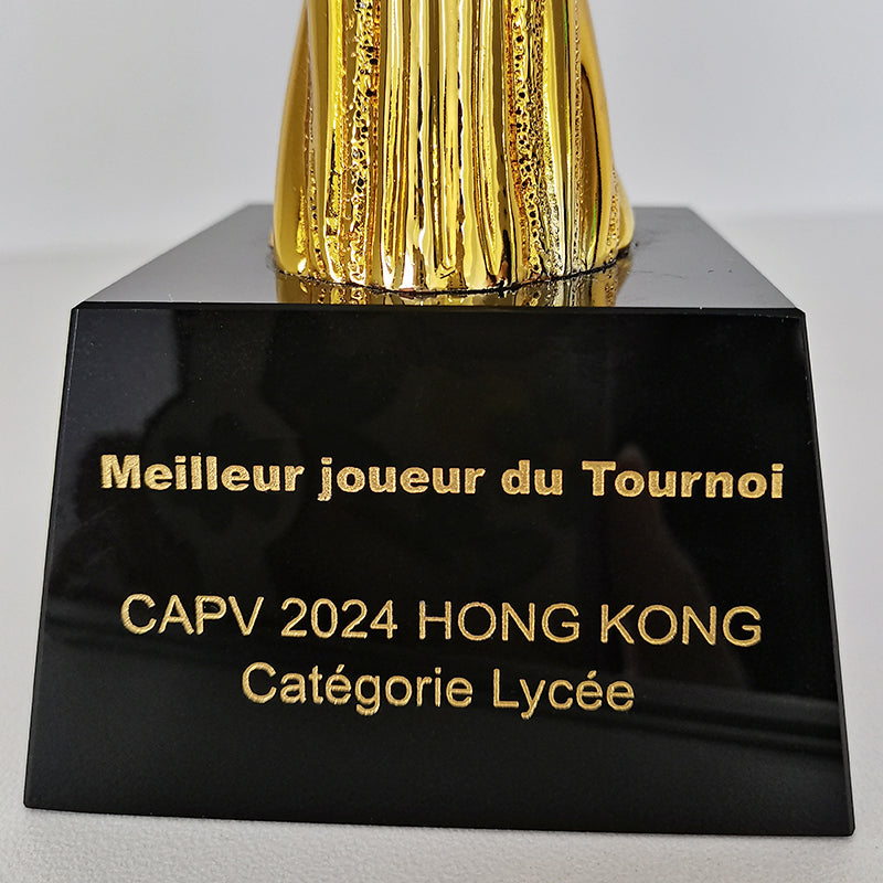 [Case Studies]Engraved  Metal Trophy