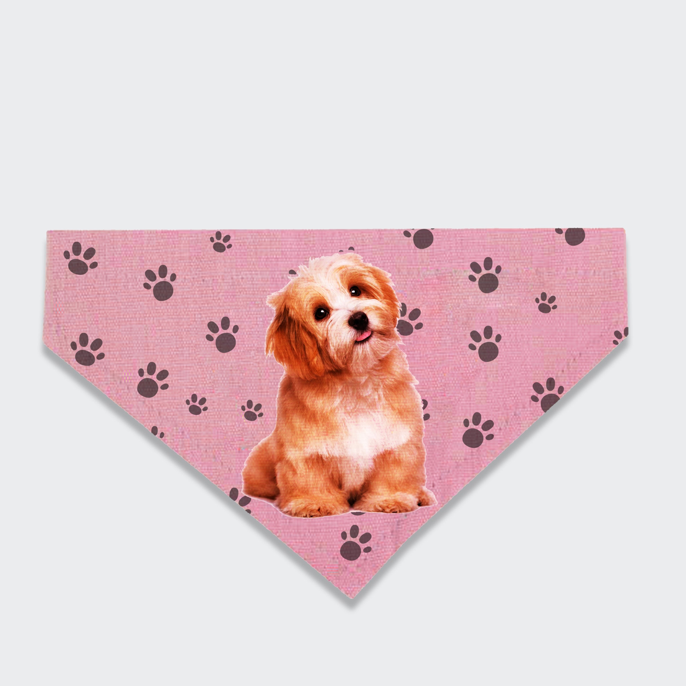 【Pet Shop系列】訂製寵物三角巾 寵物圖案口水巾 創意禮物