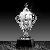 Advanced Award Presentation Crystal Trophy | 創意冠軍水晶獎盃定制
