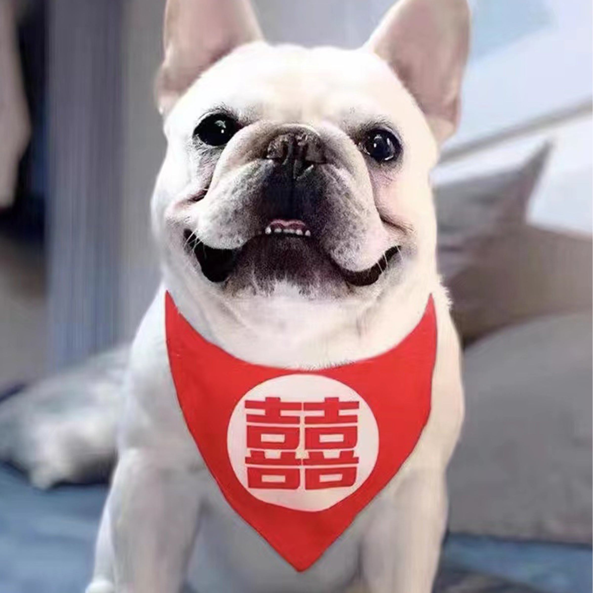 【Pet Shop系列】訂製寵物三角巾 寵物圖案口水巾 創意禮物BG03-9