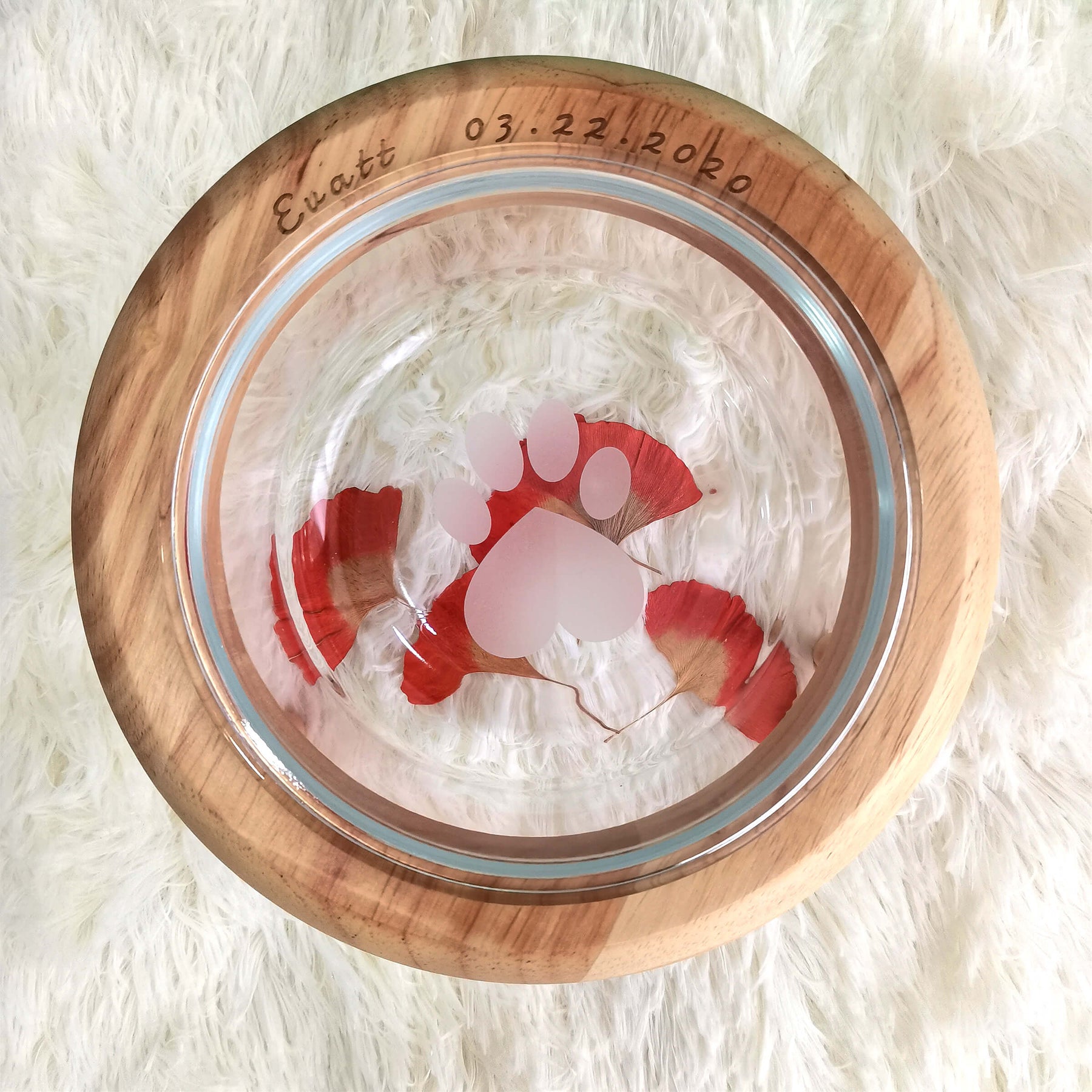 【Pet Shop系列】訂製寵物碗大口徑玻璃碗 實木架飛碟碗